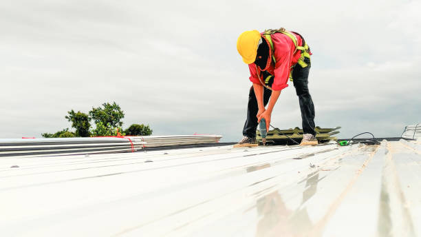 Best Storm Damage Roof Repair  in Orange Grove, TX