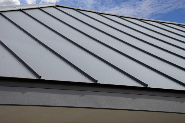 Best Metal Roofing Installation  in Orange Grove, TX